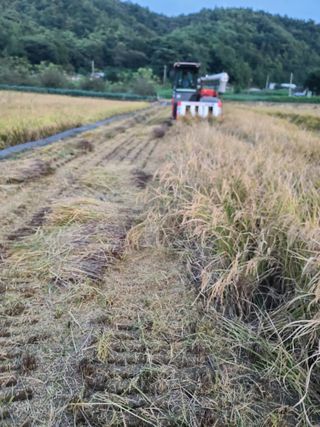 강기동님의 가을 농사계획 알려주세요🍁 · 참여글 작성글 사진
