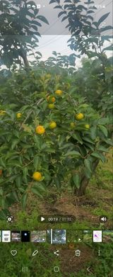 팜모닝 장터이야기·자유게시판 게시글 이미지