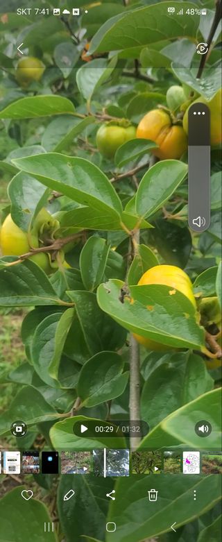 복주농장님의 장터이야기 · 자유게시판 작성글 사진