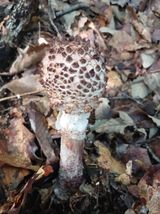 팜모닝 자유주제·건의해요 게시글 이미지