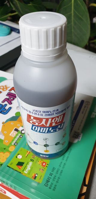 서종석님의 자유주제 · 자유게시판 작성글 사진