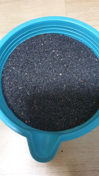 박상권님의 참깨 · 자유게시판 작성글 사진