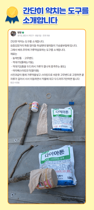 팜모닝 베스트님의 팜모닝공식 · 팜모닝 베스트 작성글 사진