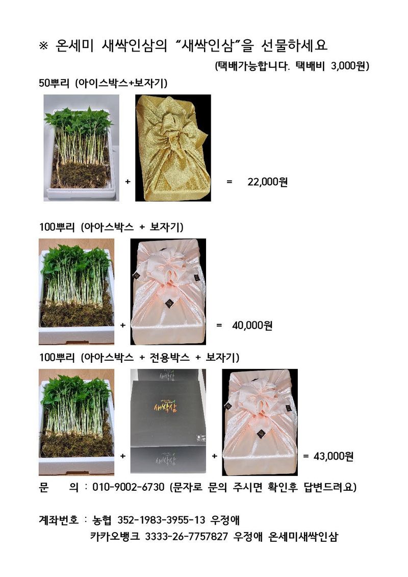 장터 상품 [새싹인삼 선물세트] 썸네일