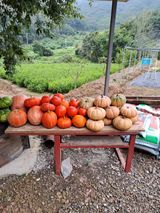 팜모닝 자유주제·자유게시판 게시글 이미지