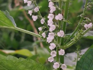 금동이네님의 기타작물 · 자유게시판 작성글 사진