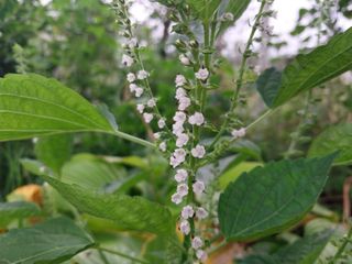 금동이네님의 기타작물 · 자유게시판 작성글 사진