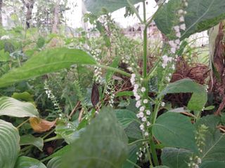 금동이네님의 기타작물 · 자유게시판 작성글 사진