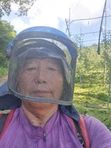 팜모닝 옥수수·영농일지 게시글 이미지