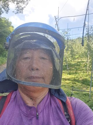 강혜원님의 옥수수 · 영농일지 작성글 사진