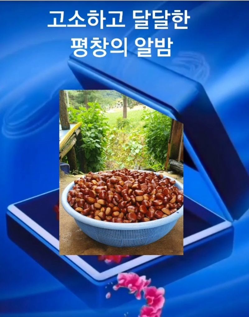 장터 상품 [조생밤1kg] 썸네일