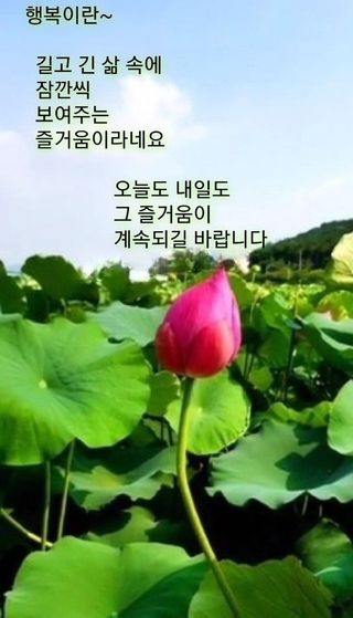 (팽나무*공주)님의 자유주제 · 자유게시판 작성글 사진