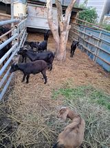 팜모닝 자유주제·자유게시판 게시글 이미지