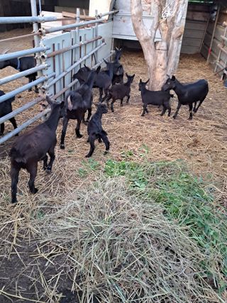 김석현님의 자유주제 · 자유게시판 작성글 사진