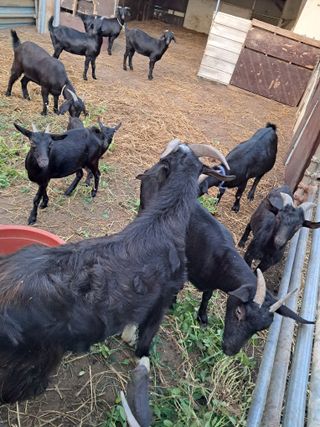 김석현님의 자유주제 · 자유게시판 작성글 사진