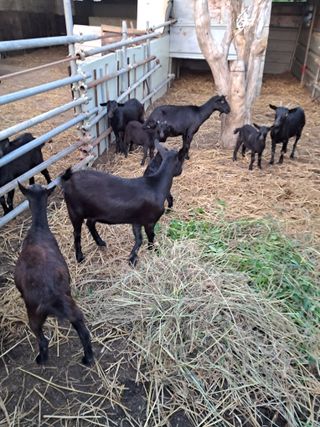 김석현님의 자유주제 · 자유게시판 작성글 사진