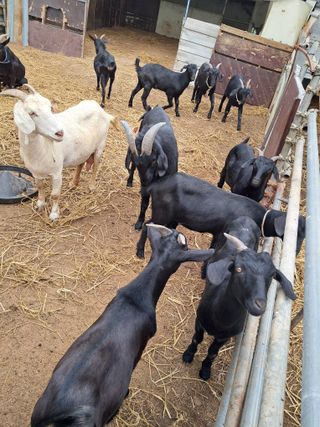 김석현님의 자유주제 · 자유게시판 작성글 사진