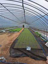 팜모닝 파·자유게시판 게시글 이미지