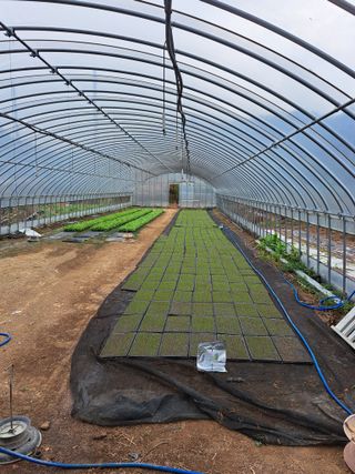 꿈드림뜨락님의 파 · 자유게시판 작성글 사진