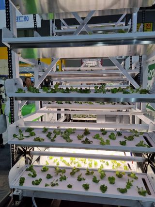 민은경님의 배추 · 비료•농약 작성글 사진