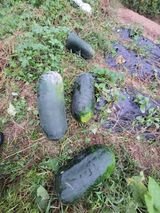 팜모닝 자유주제·자유게시판 게시글 이미지