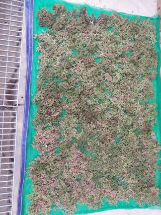 김정술님의 자유주제 · 자유게시판 작성글 사진