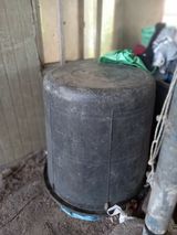 팜모닝 · 게시글 이미지