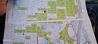 사천시향촌동 돼지띠님의 벼 · 자유게시판 작성글 사진