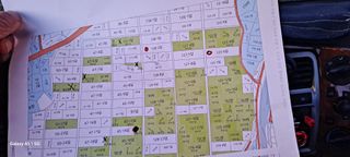 사천시향촌동 돼지띠님의 벼 · 자유게시판 작성글 사진