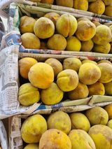 팜모닝 복숭아·병해충상담 게시글 이미지