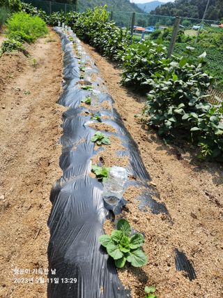 金鎭님의 자유주제 · 자유게시판 작성글 사진