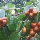 순연농장님의 작성글 사진