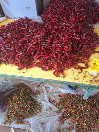 꿈드림뜨락님의 고추 · 일상 작성글 사진