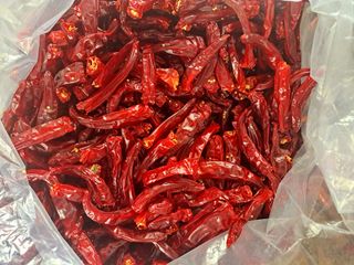 꿈드림뜨락님의 고추 · 일상 작성글 사진