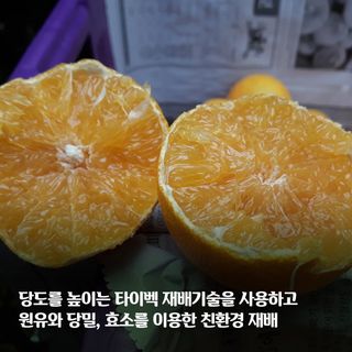 선물차롱님의 작성글 사진