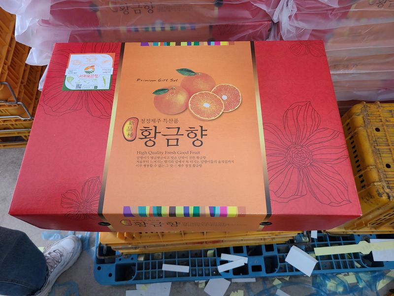 선물차롱님의 장터 판매 상품 [황금향 선물용.실속형] 첨부 사진