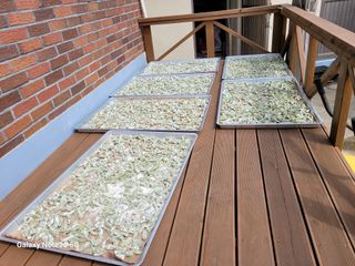 이윤미님의 자유주제 · 자유게시판 작성글 사진