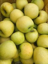 팜모닝 가을 농사계획 알려주세요🍁·참여글 게시글 이미지