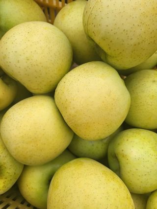 최승국님의 가을 농사계획 알려주세요🍁 · 참여글 작성글 사진