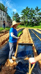 팜모닝 가을 농사계획 알려주세요🍁·참여글 게시글 이미지