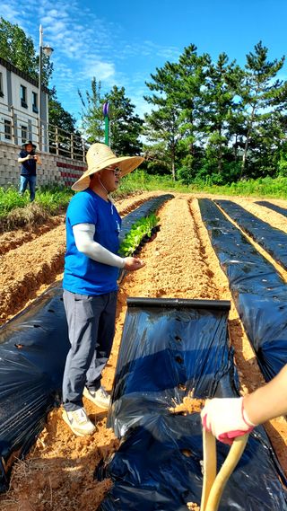 오남현님의 가을 농사계획 알려주세요🍁 · 참여글 작성글 사진