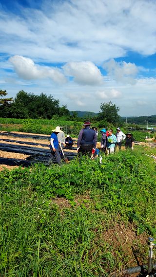 오남현님의 가을 농사계획 알려주세요🍁 · 참여글 작성글 사진