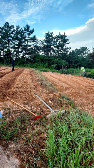 오남현님의 가을 농사계획 알려주세요🍁 · 참여글 작성글 사진
