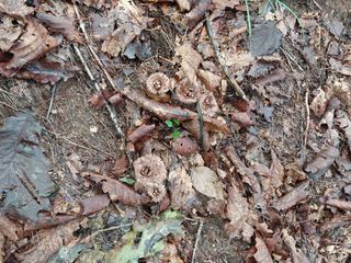김봉호님의 작성글 사진