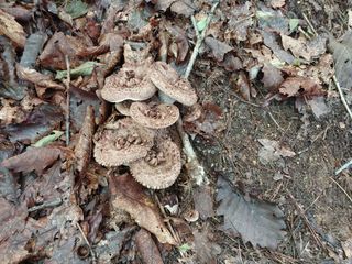 김봉호님의 작성글 사진