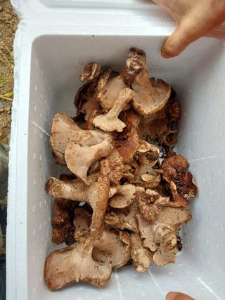 김봉호님의 작성글 사진