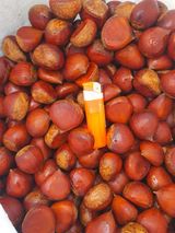 팜모닝 · 게시글 이미지