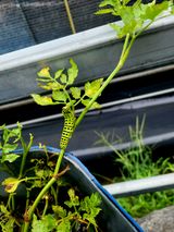 팜모닝 감자·영농일지 게시글 이미지