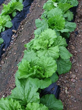 김화순님의 자유주제 · 자유게시판 작성글 사진