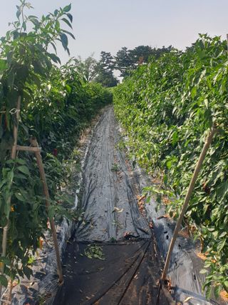 이정자님의 작성글 사진